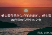 低头看我是怎么c哭你的软件，低头看着我是怎么要你的文章