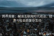 跨界观察：解读互联网时代政治、经济与社会的复杂互动