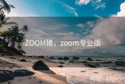 ZOOM猪，zoom专业版