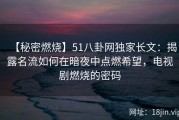 【秘密燃烧】51八卦网独家长文：揭露名流如何在暗夜中点燃希望，电视剧燃烧的密码