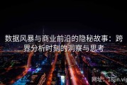 数据风暴与商业前沿的隐秘故事：跨界分析时刻的洞察与思考
