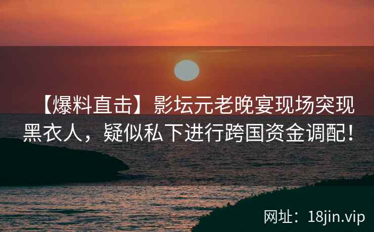 【爆料直击】影坛元老晚宴现场突现黑衣人，疑似私下进行跨国资金调配！