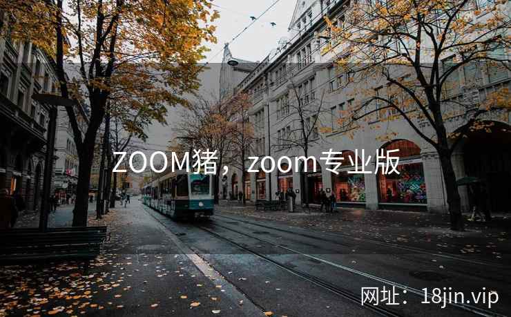 ZOOM猪，zoom专业版
