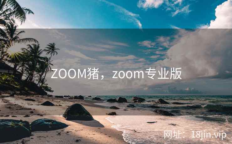ZOOM猪，zoom专业版